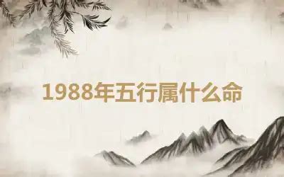 1988 年五行属什么